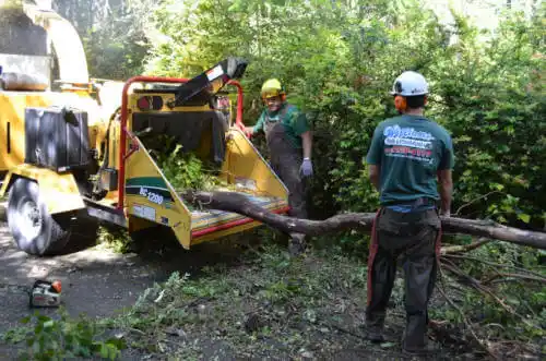 tree services Pretty Prairie